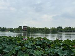 -什刹海