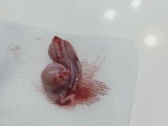 -拜鲁耶动物诊疗中心·宠家动物医院