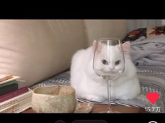 -东岸Cafe 爵士俱乐部