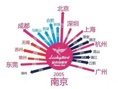 -金吉鸟健身游泳