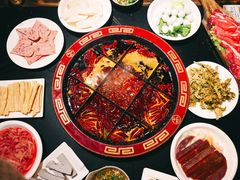 -矮板凳老火锅(宽窄巷子店)