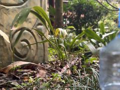 -明月山天沐温泉度假村