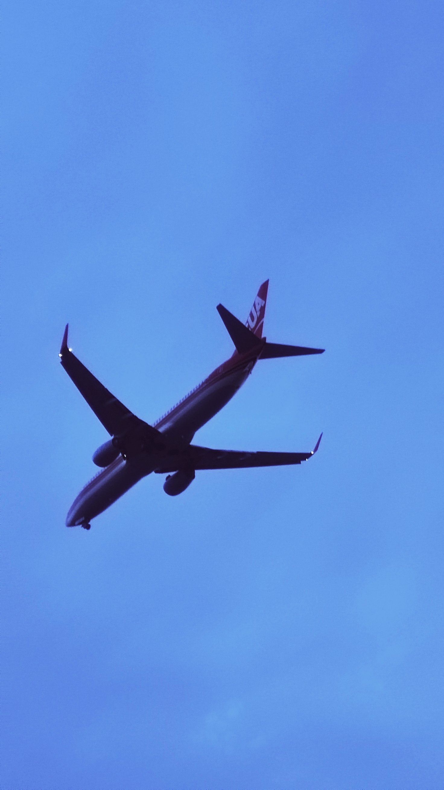 震撼!这就是降落在浦东机场的飞机!