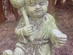 -武陵山森林公园