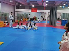 -陈中跆拳道(中关村馆)