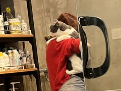 -PETKIT 小佩宠物·低压洗护·美容·寄养(安远店)