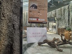 -武汉动物园
