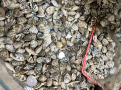 -鑫渔港海鲜本地菜·山海关浑锅(东戴河店)