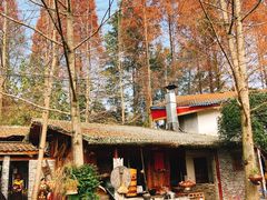 -青城甲(青城山店)