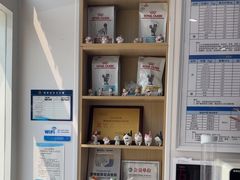 -芭比堂动物医院·CT·微创中心(新顺分院)