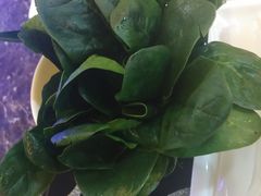 -清真华宇开锅羊肉