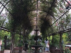 -The Grounds of Alexandria
