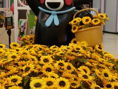 -新城市广场