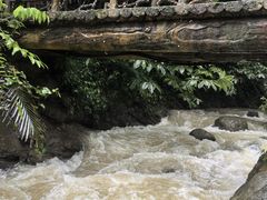 -通灵大峡谷