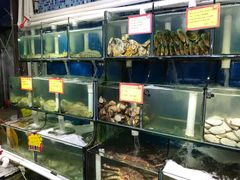水产区-蚝专家(北滘店)