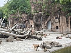 -上海动物园(地铁站)