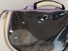 -宠颐生动物医院·心脏科·保险定点(锦阳分院)