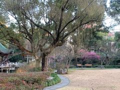 -申粤轩酒楼·三十年粤菜经典(丁香花园店)