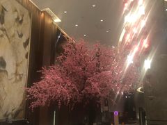 -扬州皇冠假日酒店