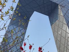 -中央广播电视总台(光华路办公区)