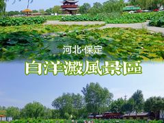 -白洋淀风景区