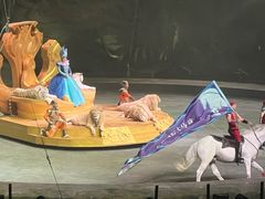 -广州长隆国际大马戏