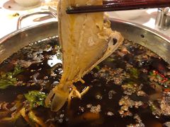 -川道拐耗儿鱼(置信路店)