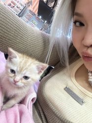 -兔猫ToMoreNails美甲美睫