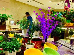 -天伦松鹤大饭店·欣妮咖啡
