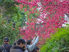 -乌山风景区
