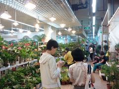 -双季花艺园艺市场(浦东店)