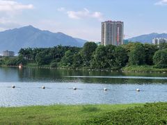 -飞来湖湿地公园