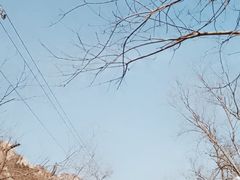 -北京凤凰岭