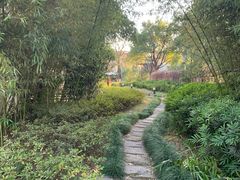 -田园东方蜜桃村的田野营地
