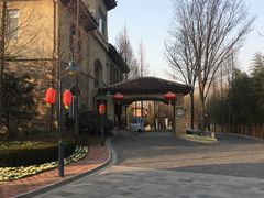 -芭东小镇温泉