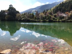 -蝴蝶泉公园