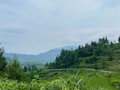 -重庆睡佛山森林公园