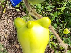 -中国科学院西双版纳热带植物园
