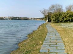 -蠡湖大桥公园