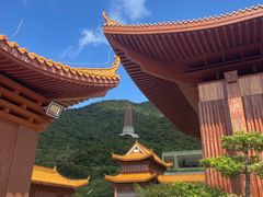 -深圳仙湖植物园