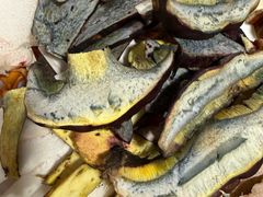-菌之家·专业纯野生菌火锅·特色炒菌