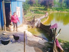 -铁山坪森林公园