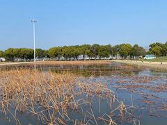 -嘉北郊野公园