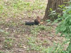 -长春市南湖公园