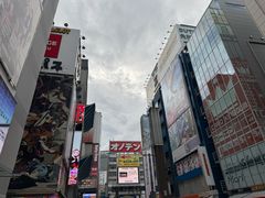 -秋叶原电器街