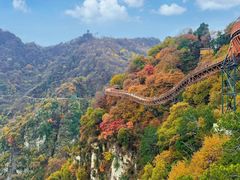 -少华山国家森林公园