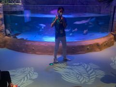 -沈阳海洋探索中心