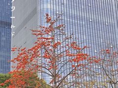 -文华公园(禅城区)