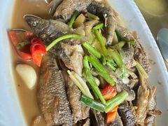 杂鱼煲-芦茨金富饭庄·25年老字号·专做稻草鸡
