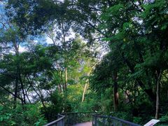 -广州市白云山风景名胜区